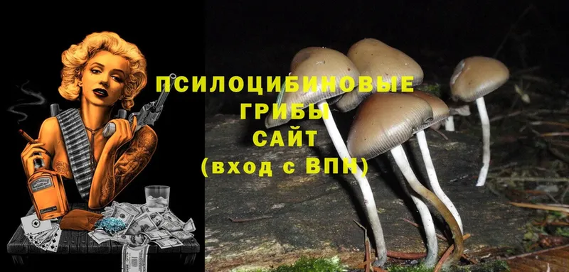 Галлюциногенные грибы Magic Shrooms  ссылка на мегу маркетплейс  Миллерово 